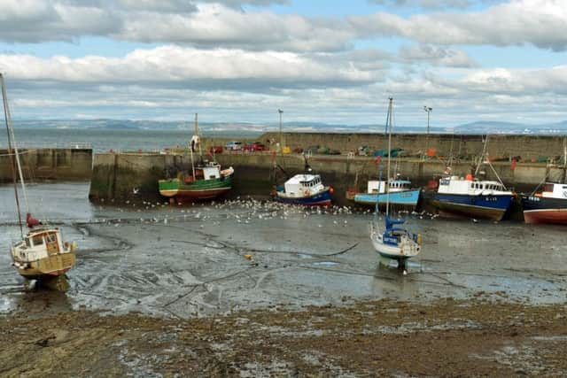 Passers-by pulled man from sea at port. Picture: Phil Wilkinson