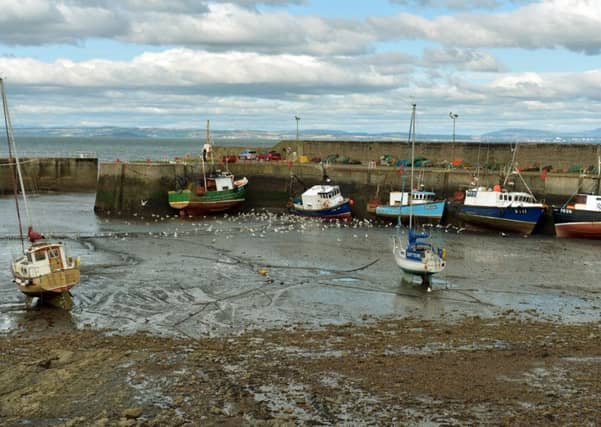 Passers-by pulled man from sea at port. Picture: Phil Wilkinson