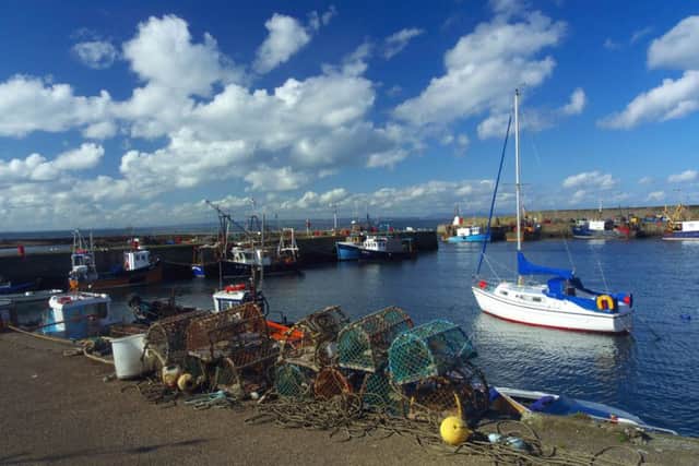 James Lewis was rescued from the harbour at Port Seton. Picture: Comp