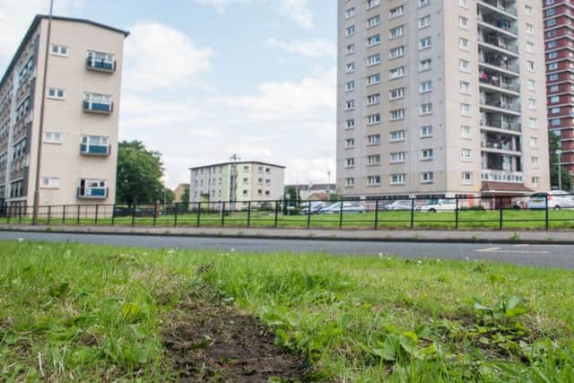 The skidmarks where the car tried to avoid the girl. Picture: Ian Georgeson