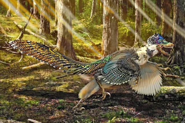 An artists impression of Zhenyuanlong suni