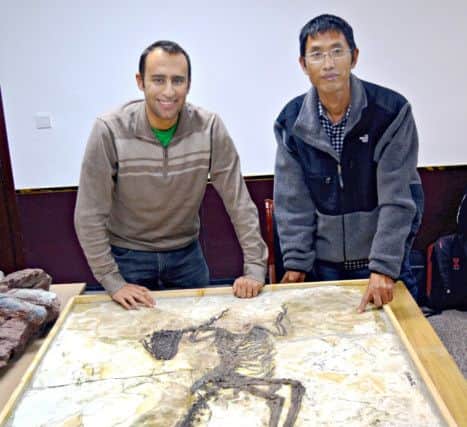 Dr Steve Brusatte and Prof Junchang Lu, right, with the Chinese fossil