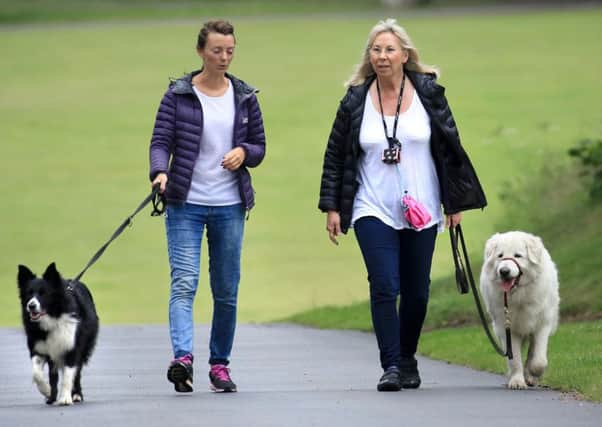 Dog walkers are charged £20 for an annual pass. Picture: Gordon Fraser