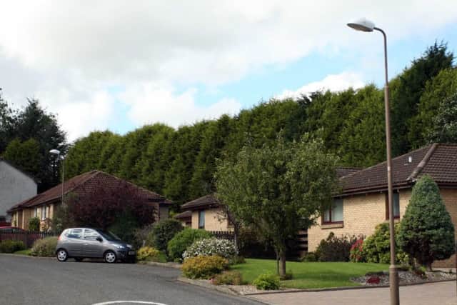 The street next to the golf course showing the hight of the trees. Picture: Pressteam
