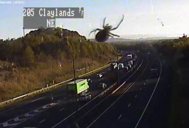 Lock your doors, stay in your cars: The giant spider at Junction 2. Picture: Traffic Scotland / Twitter