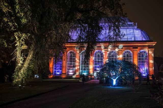 The light show at Edinburgh's Royal Botanic Garden. Picture: Grant Ritchie