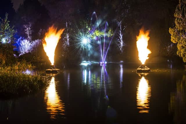 The light show at Edinburgh's Royal Botanic Garden. Picture: Grant Ritchie