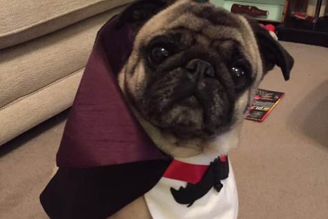 Count Puguala. Picture: Contributed