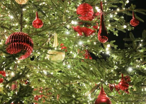 Is it too early for Christmas trees? Picture: TSPL