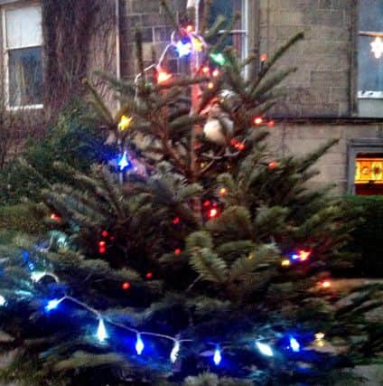 This Christmas tree was stolen on December 24. Picture: supplied