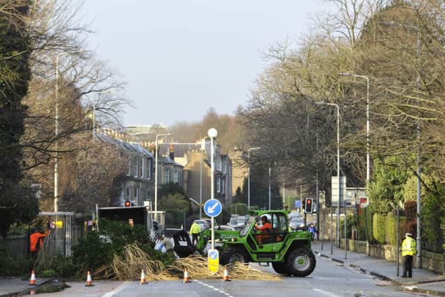 Workmen cut down a fallen tree on Corstorphine Road in Edinburgh. Picture: Ian Rutherford