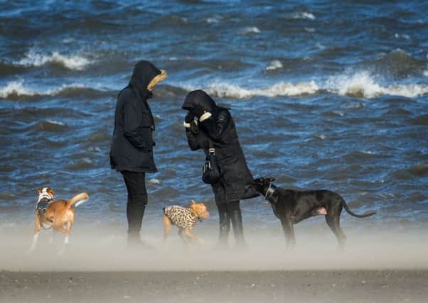 Dog walkers battle against the elements along Portobello beach. Picture: Scott Taylor