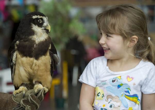 Emily Walls (4) from Trinity meets Chilli the Spectacled Owl, ( Pulsatrix perspicillata ) during a visit to Ocean terminal.  Picture: Ian Rutherford