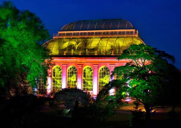 The Botanics pulled in crowds for Night in the Garden, a magical outdoor light experience. Picture: RBG