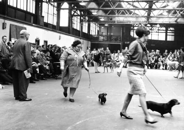 Competitors take to the ring at a dog show held in Waverley Market in 1967.