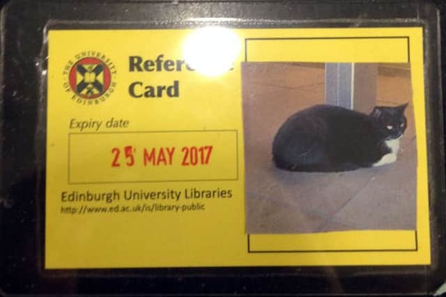 Library cat even has his own library card.