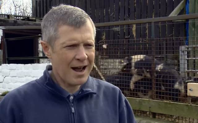 Willie Rennie delivers his piece to camera, despite the pigs' best efforts to upstage the politician. Picture: Twitter/BBCPhilipSim