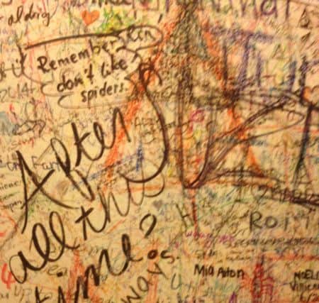 Graffiti on the walls of the Elephant House toilets. Picture: Aurora Kemble