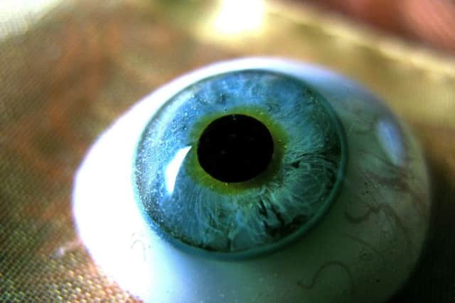 A glass eye was one of the items found on a Lothian bus. File picture: glasseyes view/Flickr (CC-BY-SA 2.0)