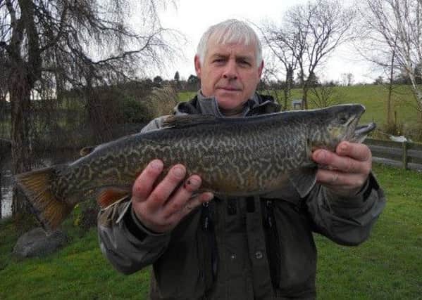 Donald McMurchy from Fallin with a 5lb 6oz Tiger taken on a Black Buzzer at Swanswater
