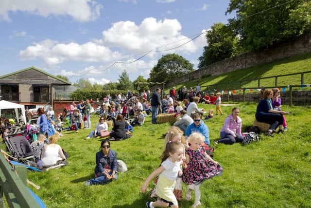 Gorgie City Farm. Picture by Malcolm McCurrach