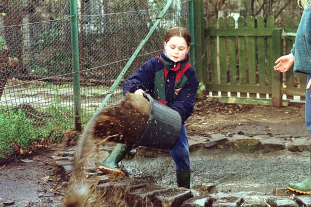 Bridget Hepburn, 10, helps muck out the duck pond in 1999. Picture: Gary Wilson