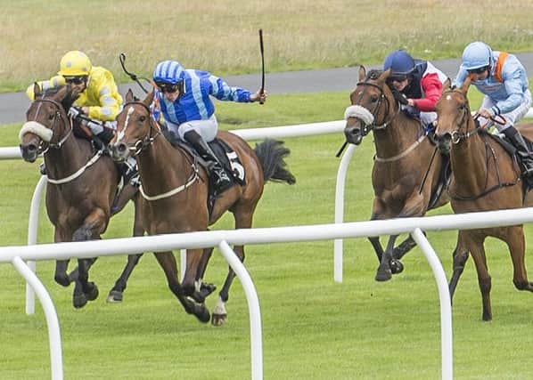 There are eight races and it is free entry at Musselburgh today