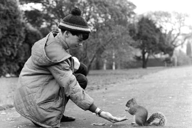 Schoolboy Colin Arthur feeding a grey squirrel in The Botanic Gardens Edinburgh in January 1969