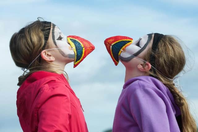 Puffin Fest returns at the Scottish Seabird Centre. Picture: Rob McDougall