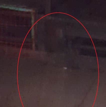 The ghost captured on camera at the mining museum