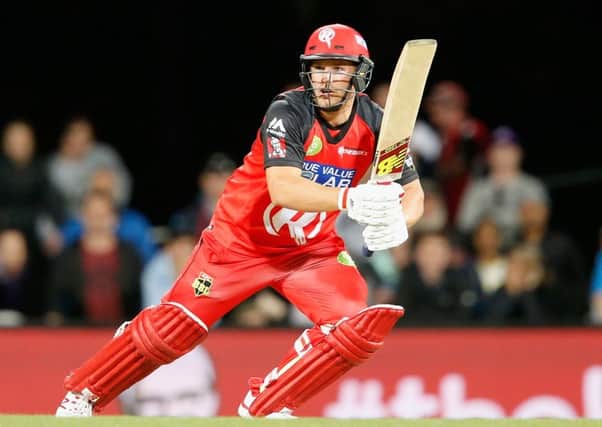 Tom Beaton pictured playing for Melbourne Renegades