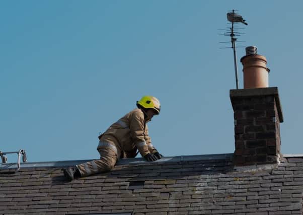 A firefighter rescues a stuck pigeon. Picture: Scottish SPCA