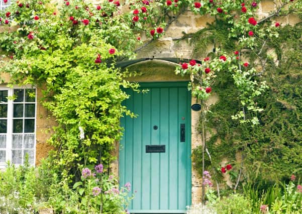 Climbers could be the answer for your garden. Photo: PA Photo/thinkstockphotos.