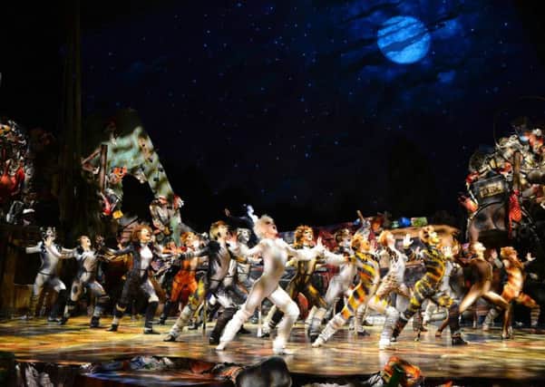 Cats, , Andrew Lloyd-Webbers extraordinary record-breaking, smash-hit musical has returned to the Playhouse