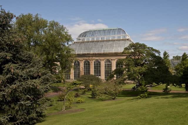 World's smelliest flower produces offspring. Picture: Royal Botanic Garden