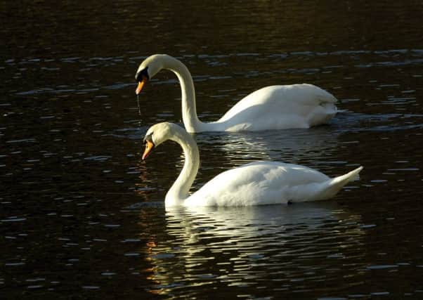 Sid and Sally on Dunsapie Loch.