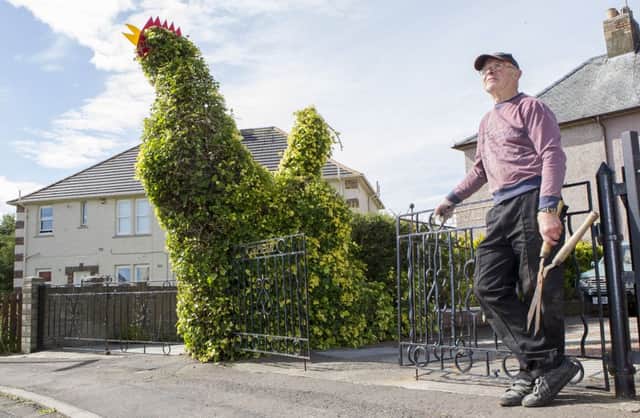 Pensioner Jim Hughes from East Wemyss, Fife. Picture: SWNS