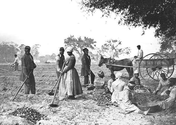 Slaves working on an American plantation. Picture. Wikimedia/CC