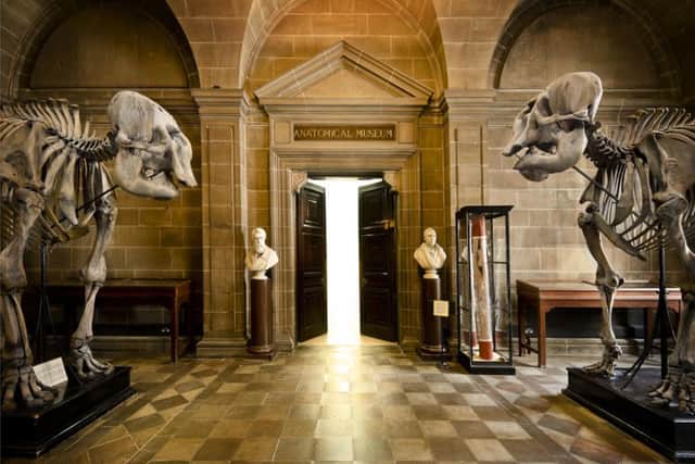 Anatomical Museum, Teviot Place.