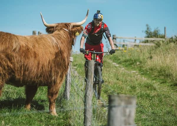 Danny MacAskill rides past a Highland cow. Picture: Fred Murray/Red Bull Content Pool