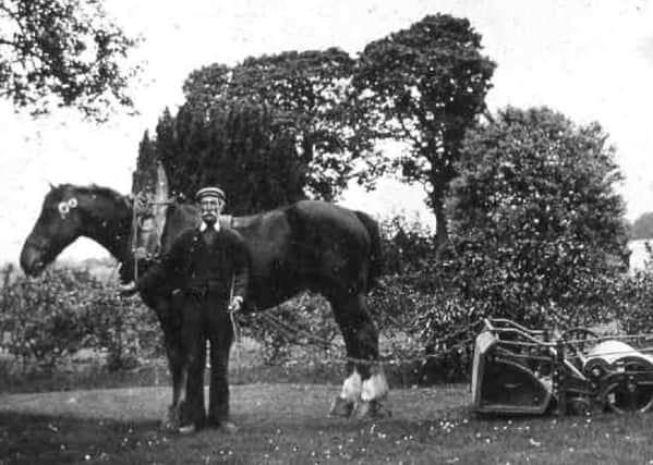 Photographs from the walled garden during its heyday.