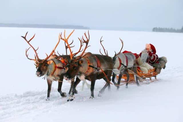 Santa won't be appearing on Lothian Buses until December 19 this year