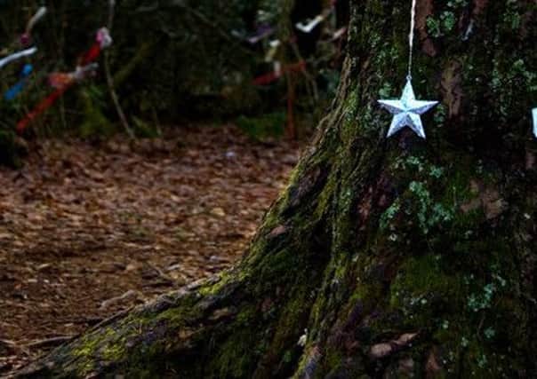 The Minister's Tree at Doon Hill  near Aberfoyle where the spirit of Reverend Robert Kirk is said to live after being taken by the "men of peace" in 1688. The tree is decorated to this day by people hoping their wishes will come true. PIC www.geograph.co.uk