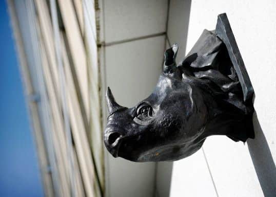 The bronze rhino head on the side of the University of Edinburgh's informatics block marks the spot where the Paperback Bookshop once stood. Picture: cityofliterature.com
