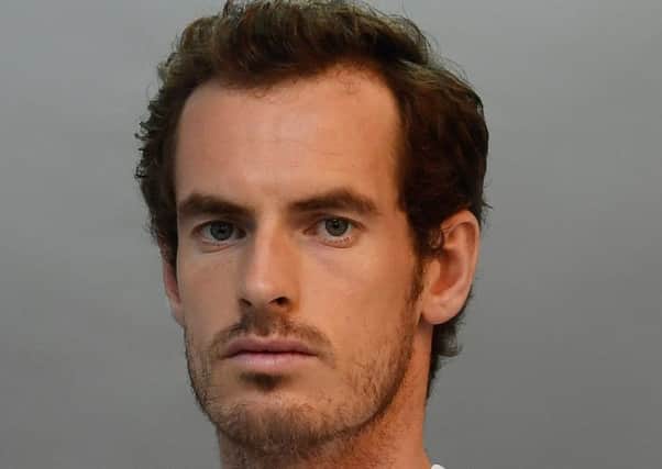 Andy Murray has been tipped for a knighthood.