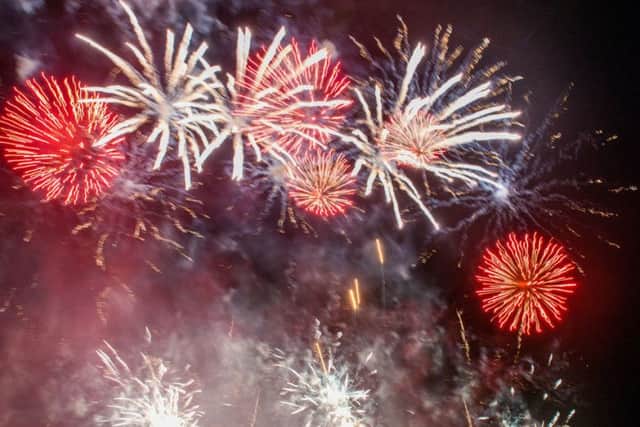 Firework displays can prove an ordeal for many. Picture: Ian Georgeson