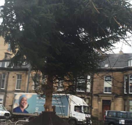 Damage to the christmas tree at Haymarket. Picture: Anna Stephenson