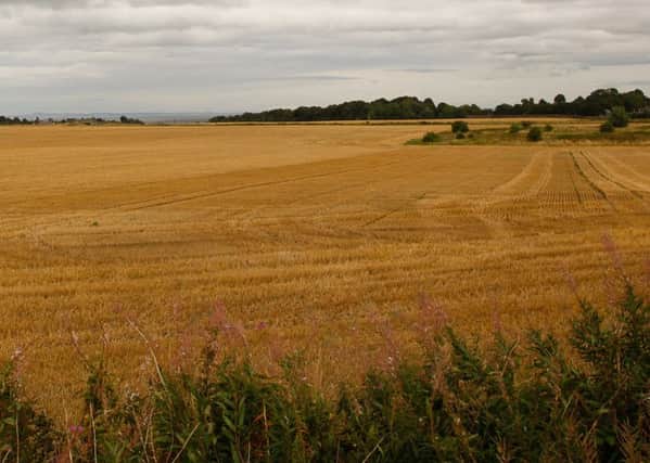Greenbelt land at Brustane earmarked for development. Picture: Scott Louden