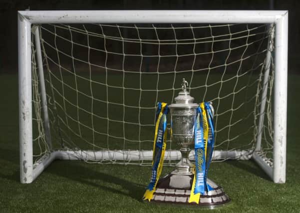 Hearts and Hibs still have a chance of lifting the Scottish Cup. Pic: SNS