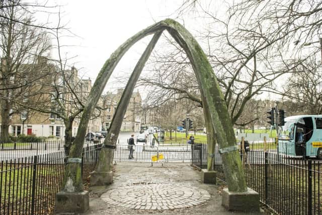 The Meadows Jawbone arch. Photograph by Ian Georgeson
